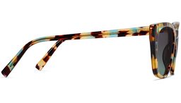 Janelle in Seashore Tortoise, thumbnail 5