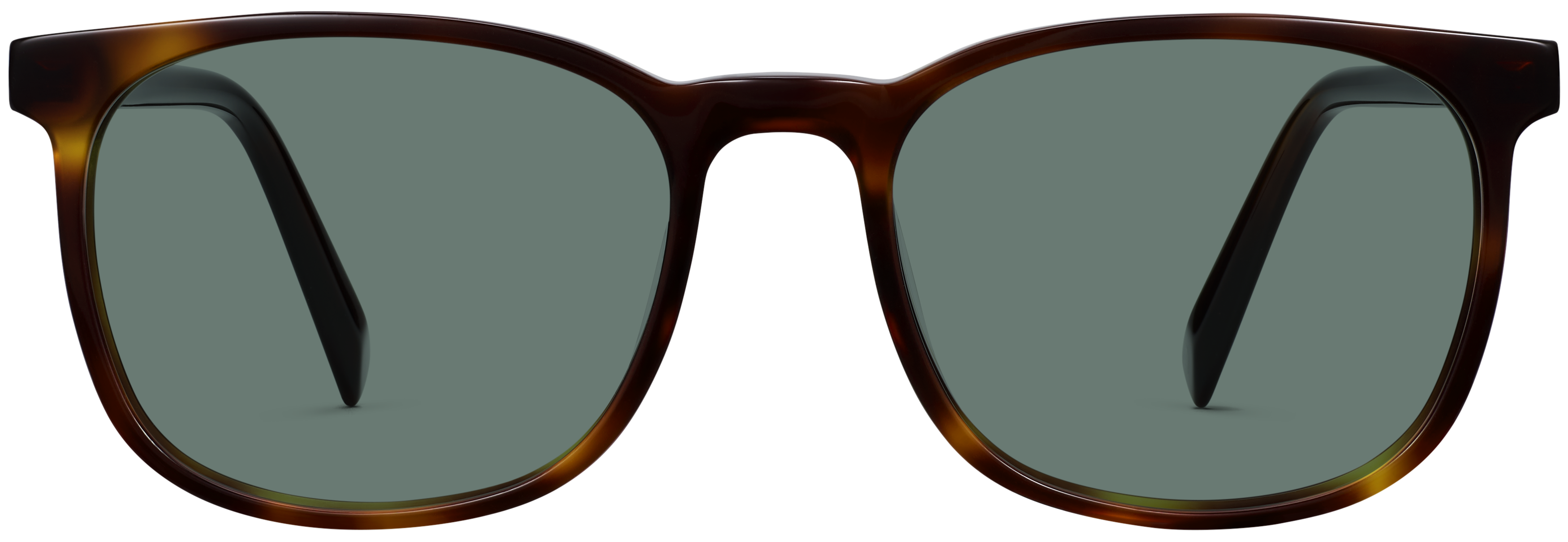 Bodie Rye Tortoise, baseTransparent view