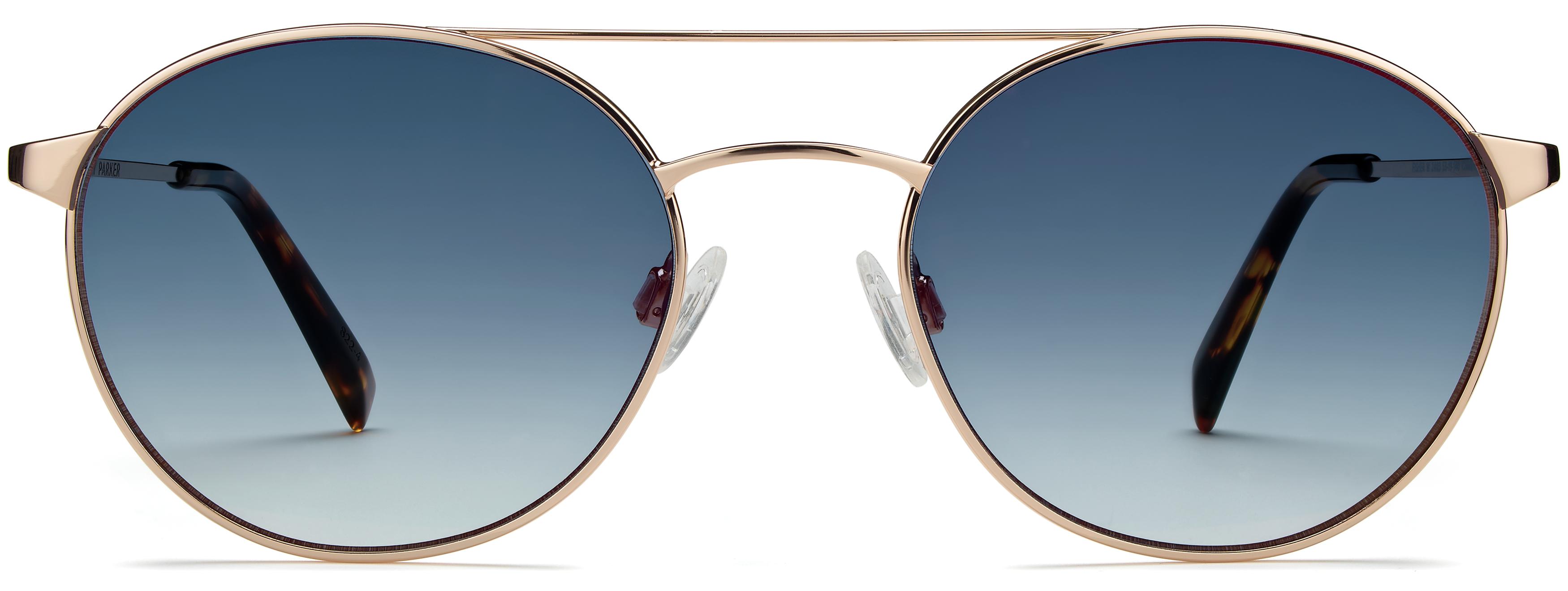 Fisher Sunglasses in Polished Gold