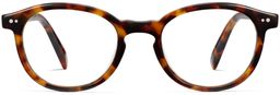 Anselm in Acorn Tortoise, thumbnail 4