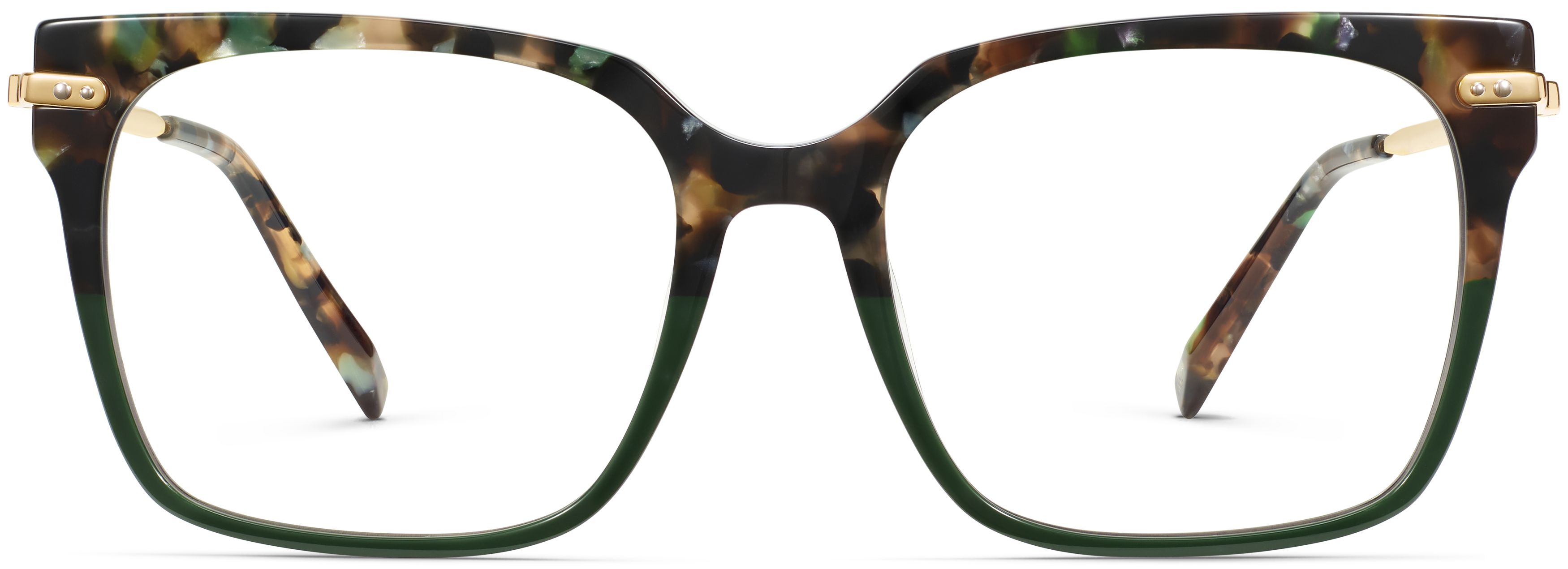 Vela Aventurine Tortoise with Polished Gold, front view