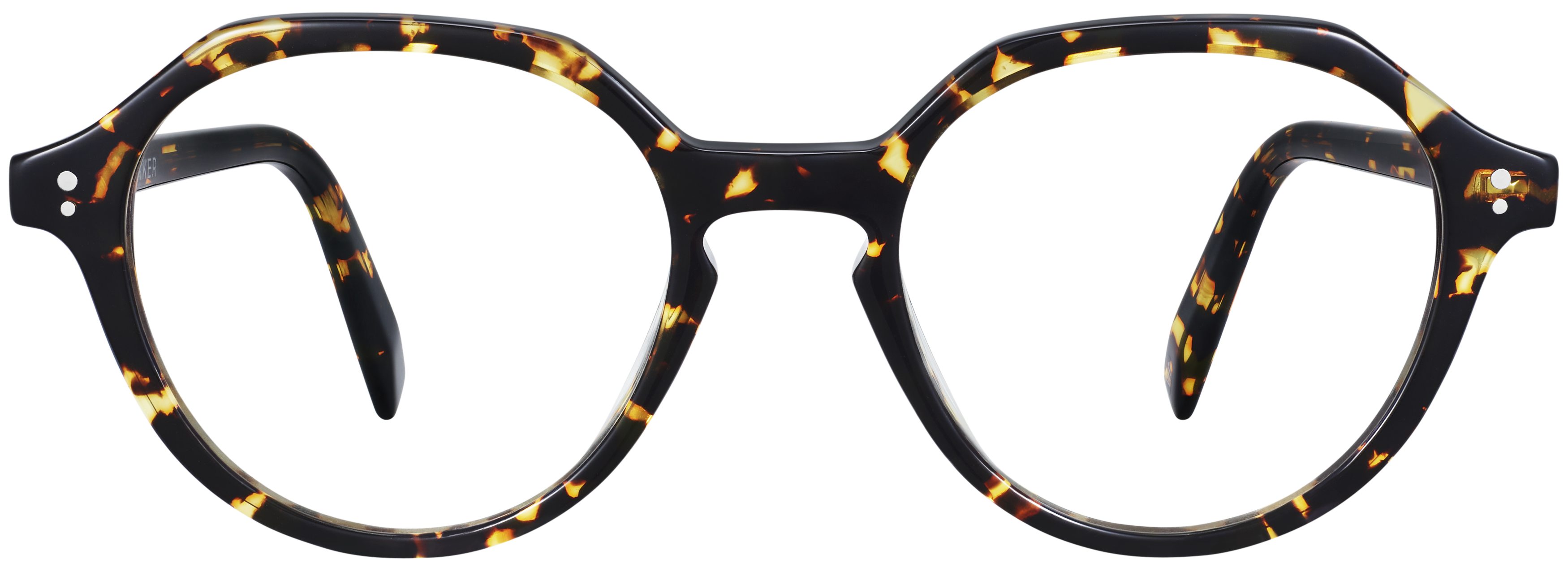 Werner Black Oak Tortoise, baseTransparent view
