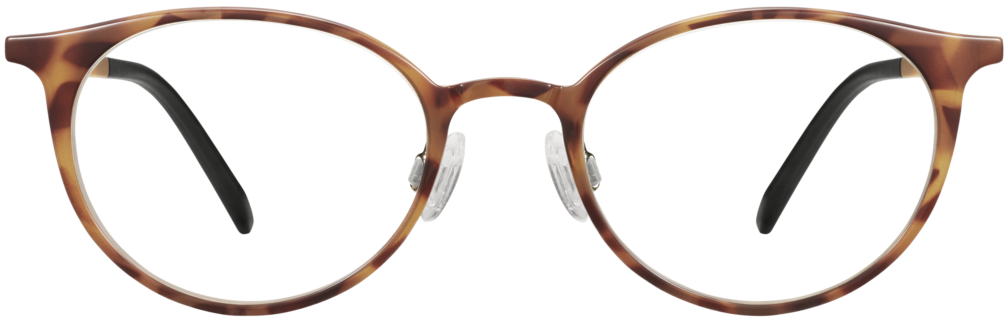 Amaya Saddle Tortoise, baseTransparent view