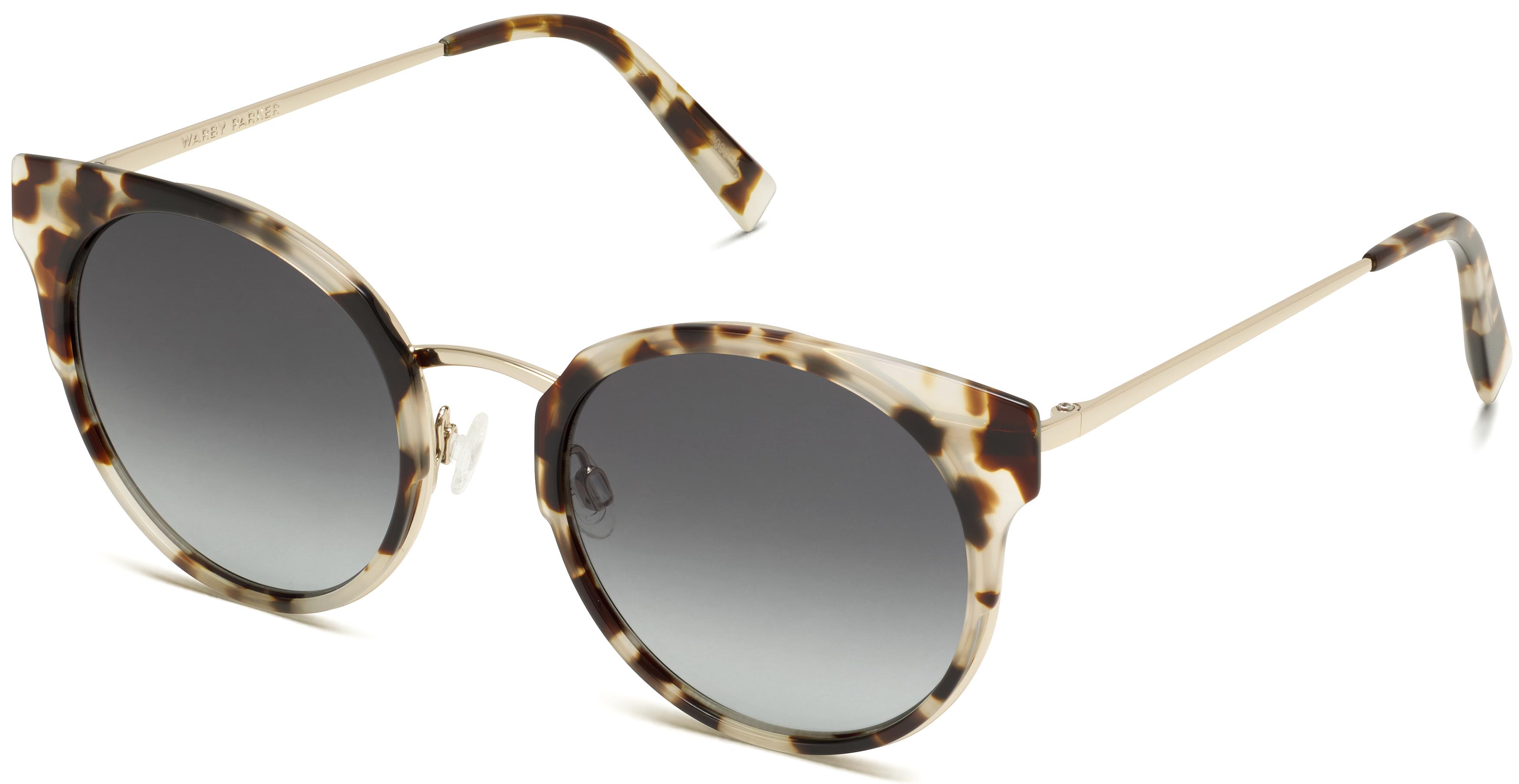 Warby parker tortoise shell 2024 sunglasses