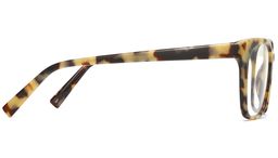 Hughes in Marzipan Tortoise, thumbnail 5