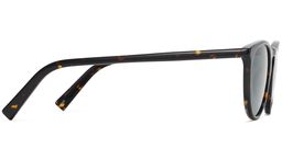 Haskell in Whiskey Tortoise, thumbnail 5