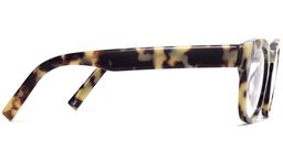 Kimball in Marzipan Tortoise, thumbnail 5