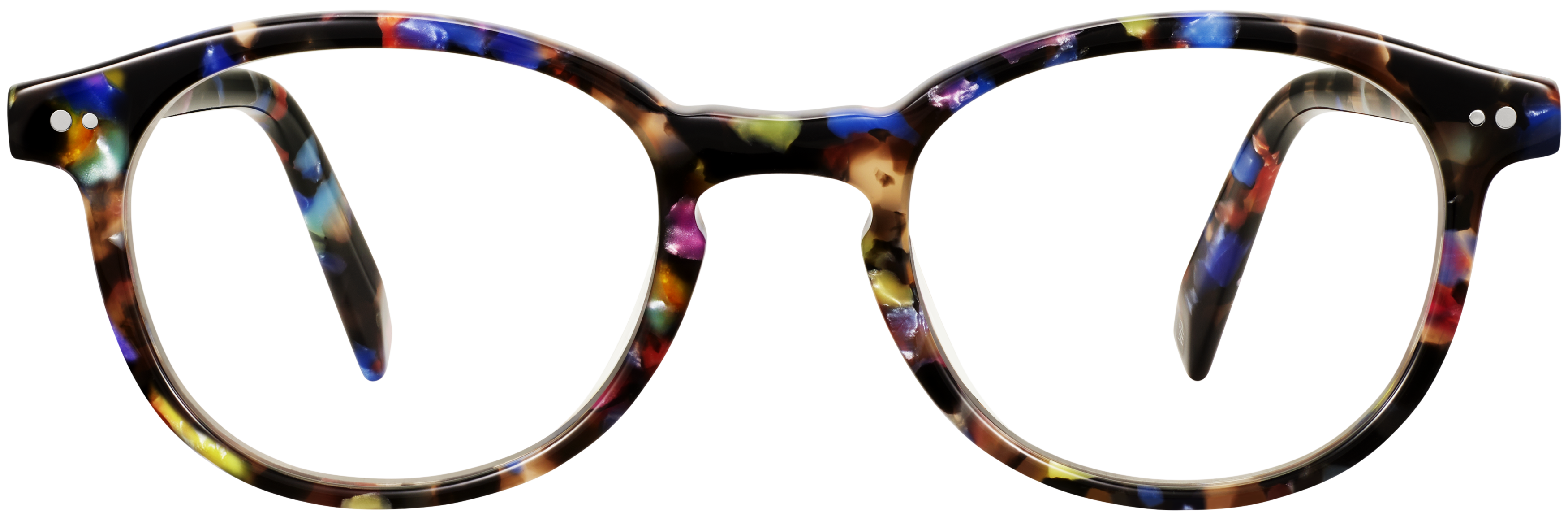 Anselm Confetti Tortoise, baseTransparent view