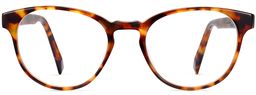 Whalen in Acorn Tortoise, thumbnail 4