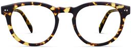 Hayes in Mesquite Tortoise, thumbnail 2