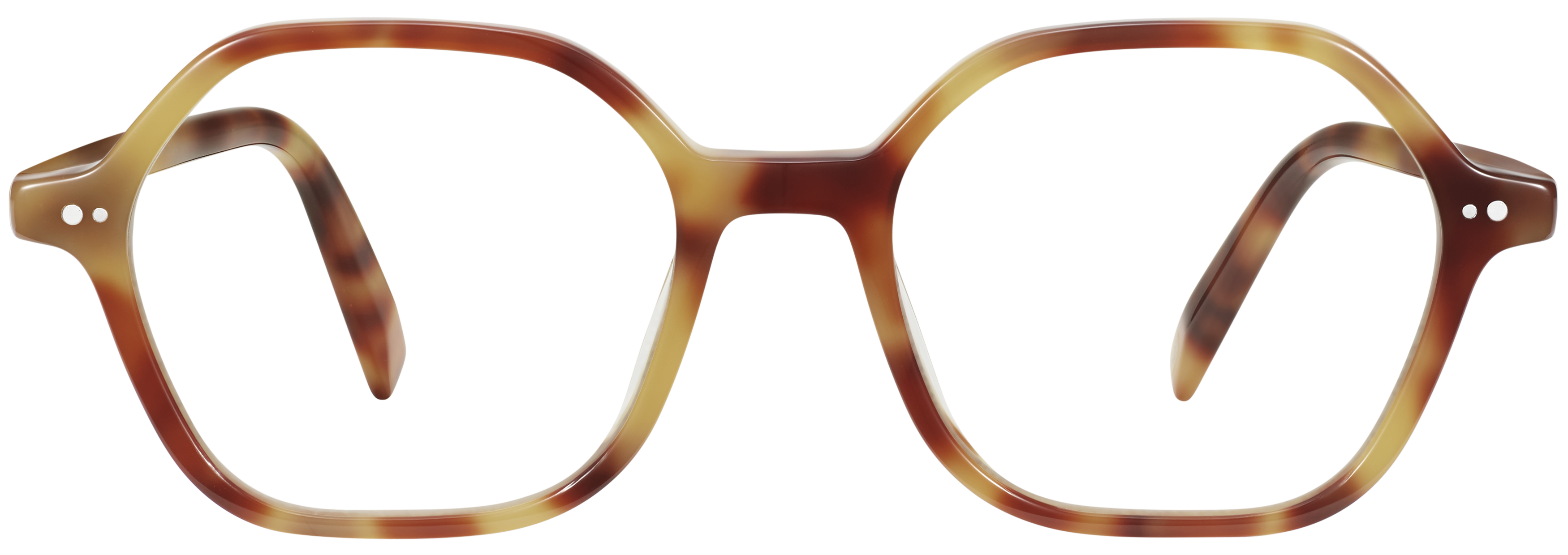 Wilmer Brown Butter Tortoise, baseTransparent view