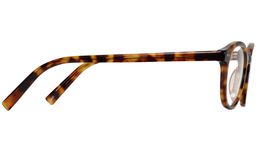 Anselm in Acorn Tortoise, thumbnail 5