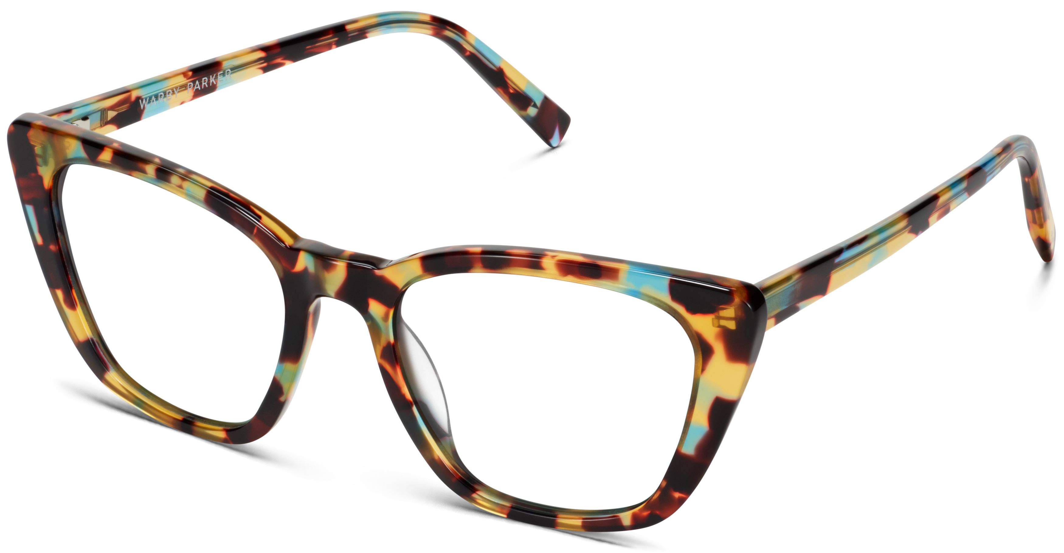 Janelle in Seashore Tortoise, image 1
