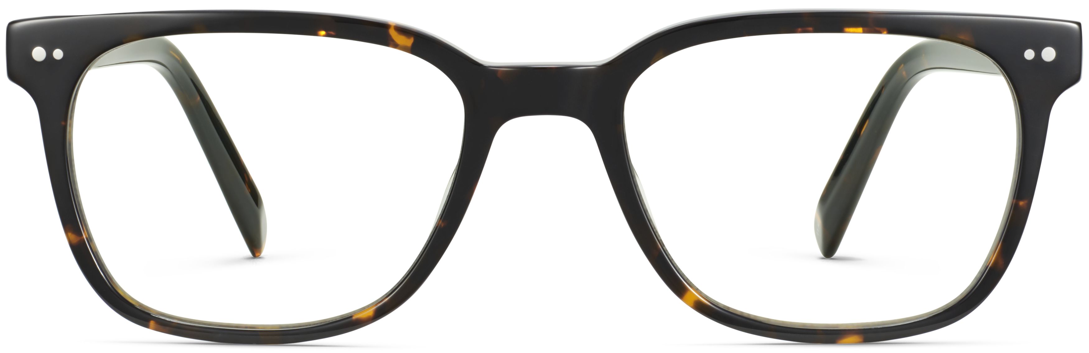 Hector Whiskey Tortoise, front view