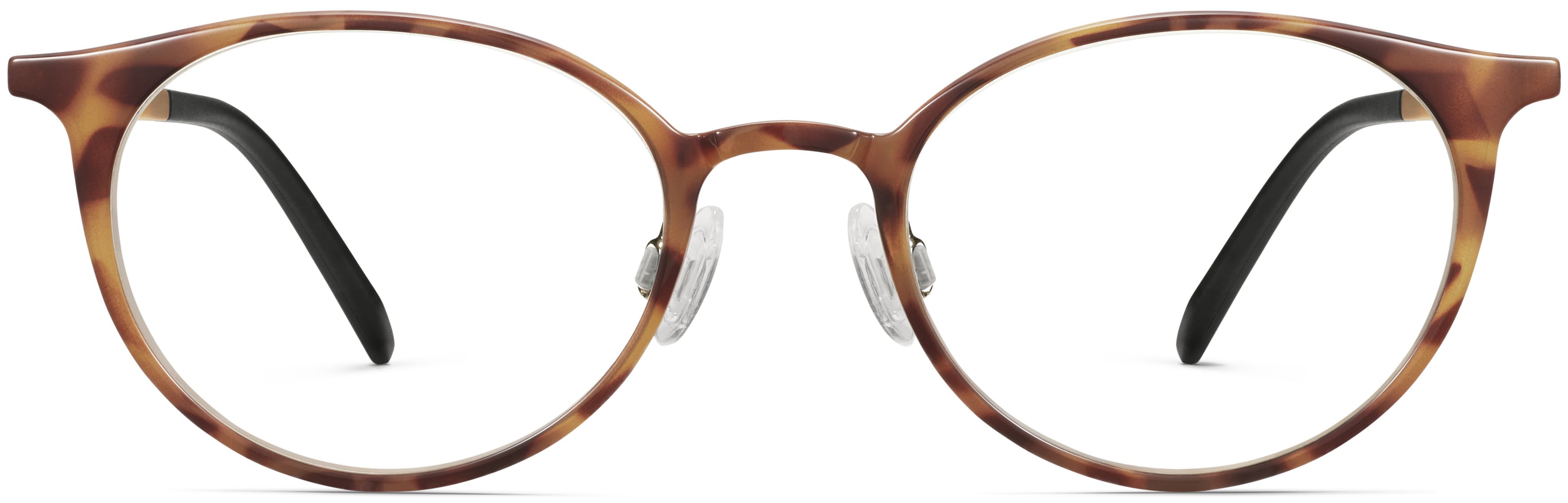 Amaya Saddle Tortoise, front view