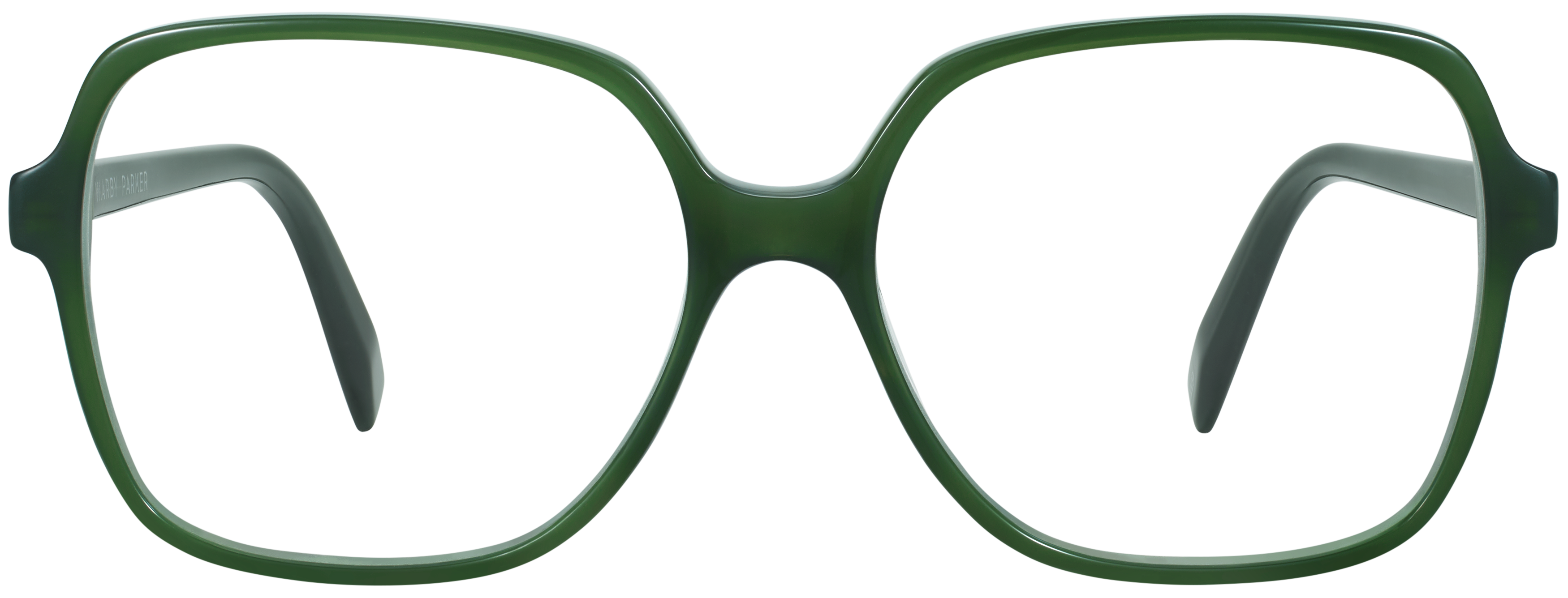 Alston Poblano, baseTransparent view