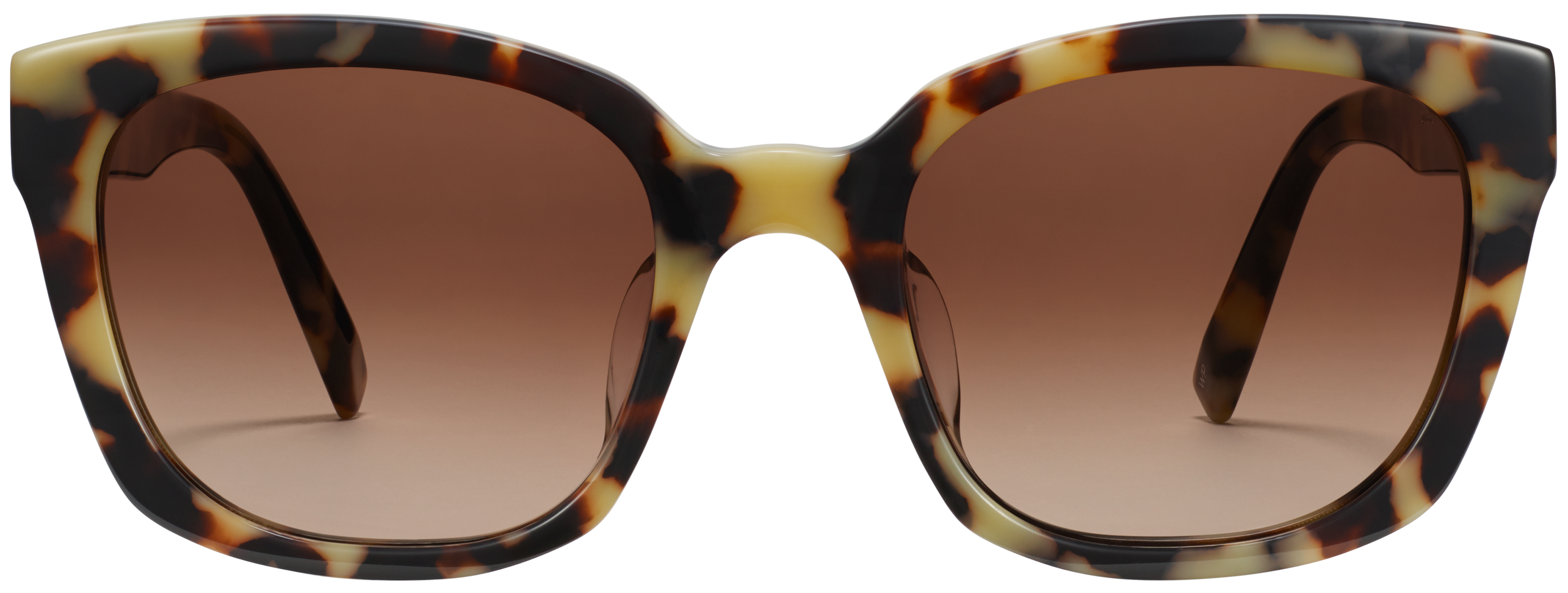 Aubrey Marzipan Tortoise, baseTransparent view