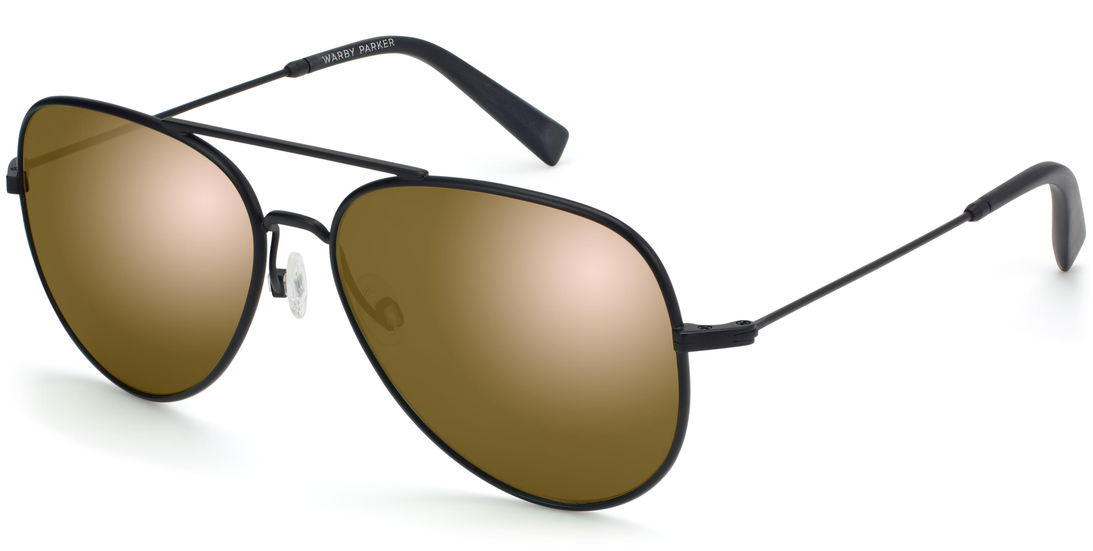 Warby parker aviator hot sale sunglasses