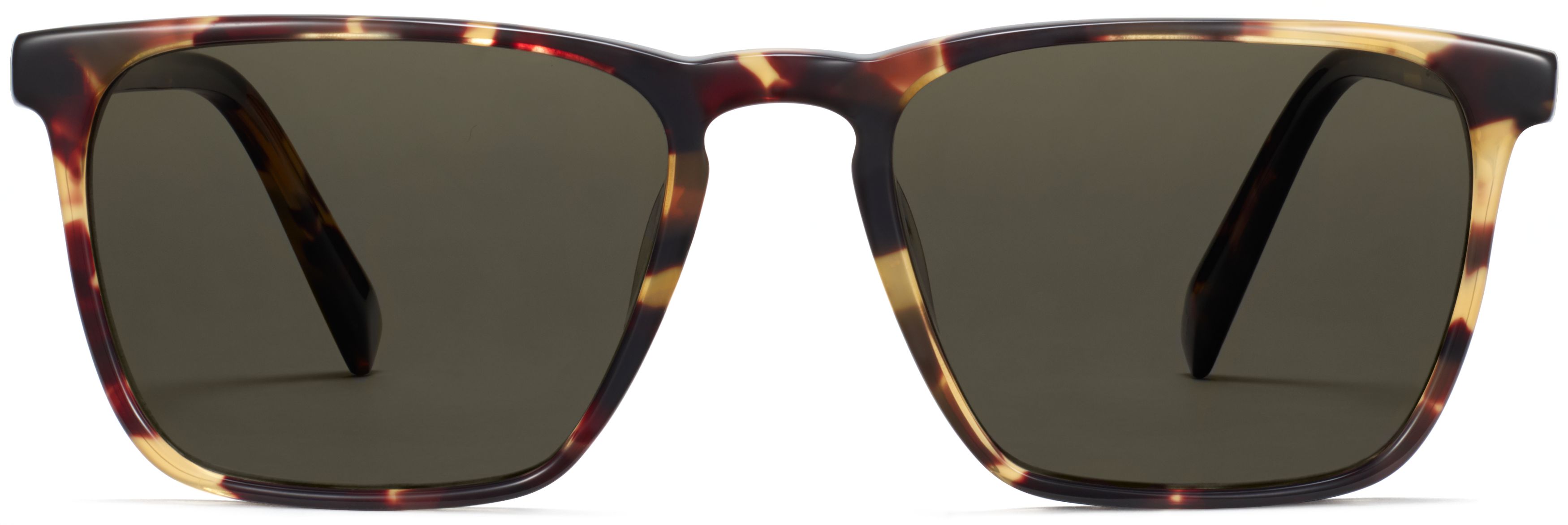 Sutton Walnut Tortoise, front view