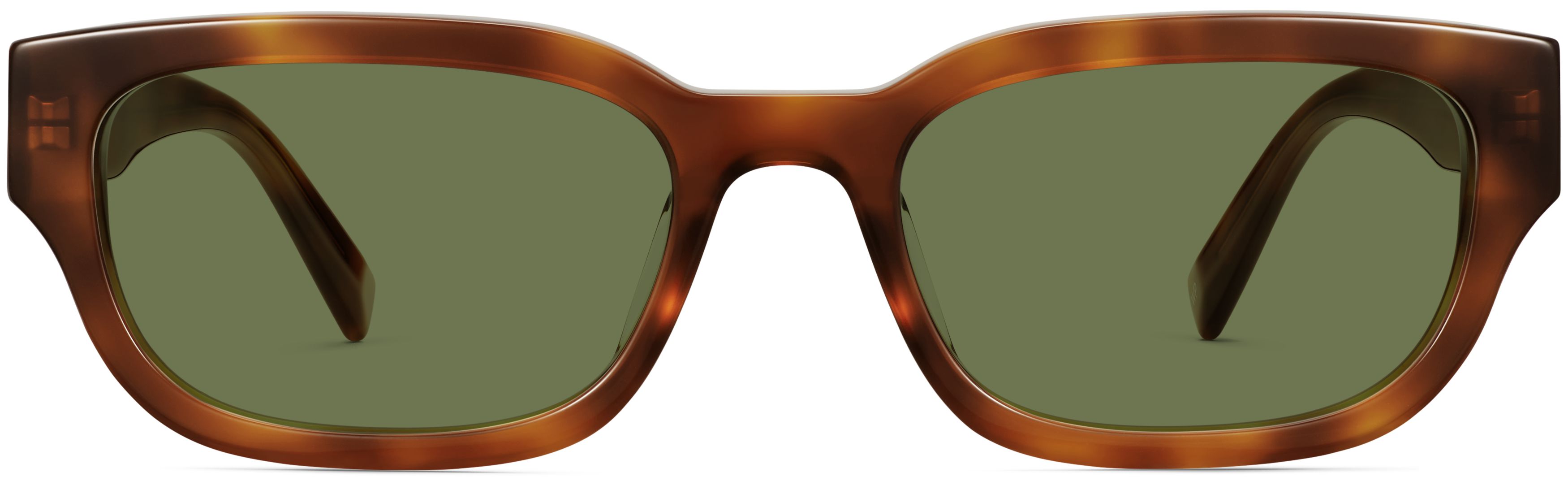 Auggie Cinnamon Tortoise, front view