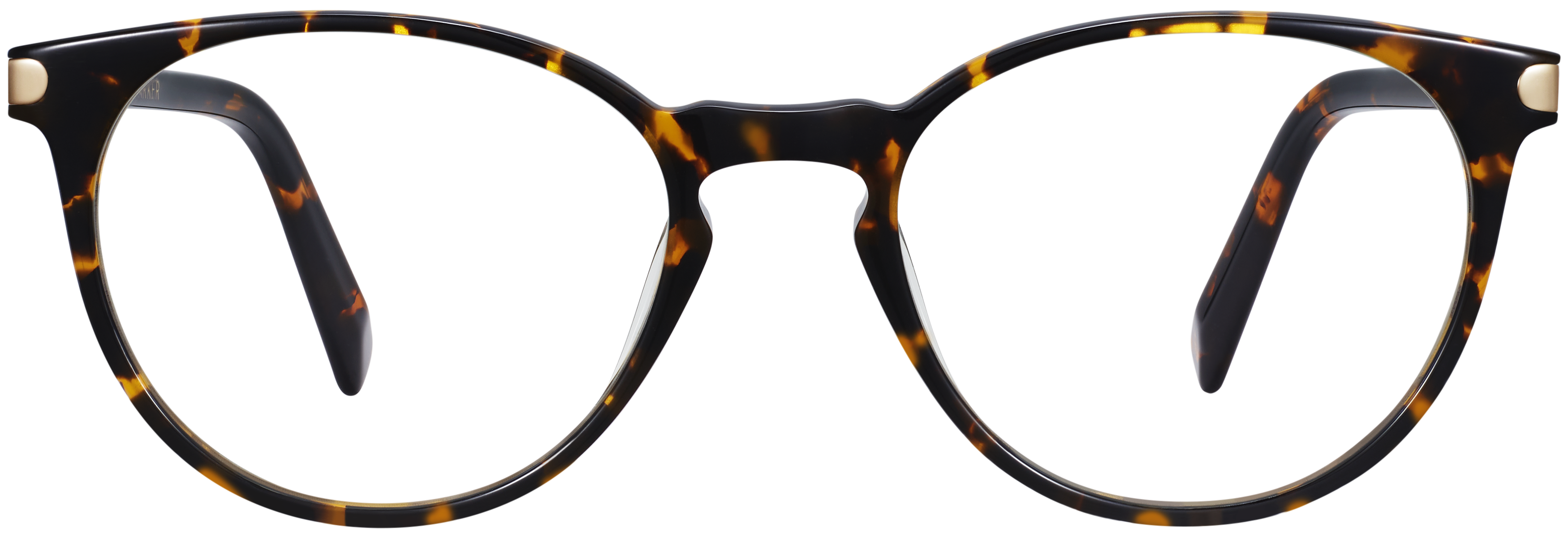 Blakeley Pinewood Tortoise with Polished Gold, baseTransparent view