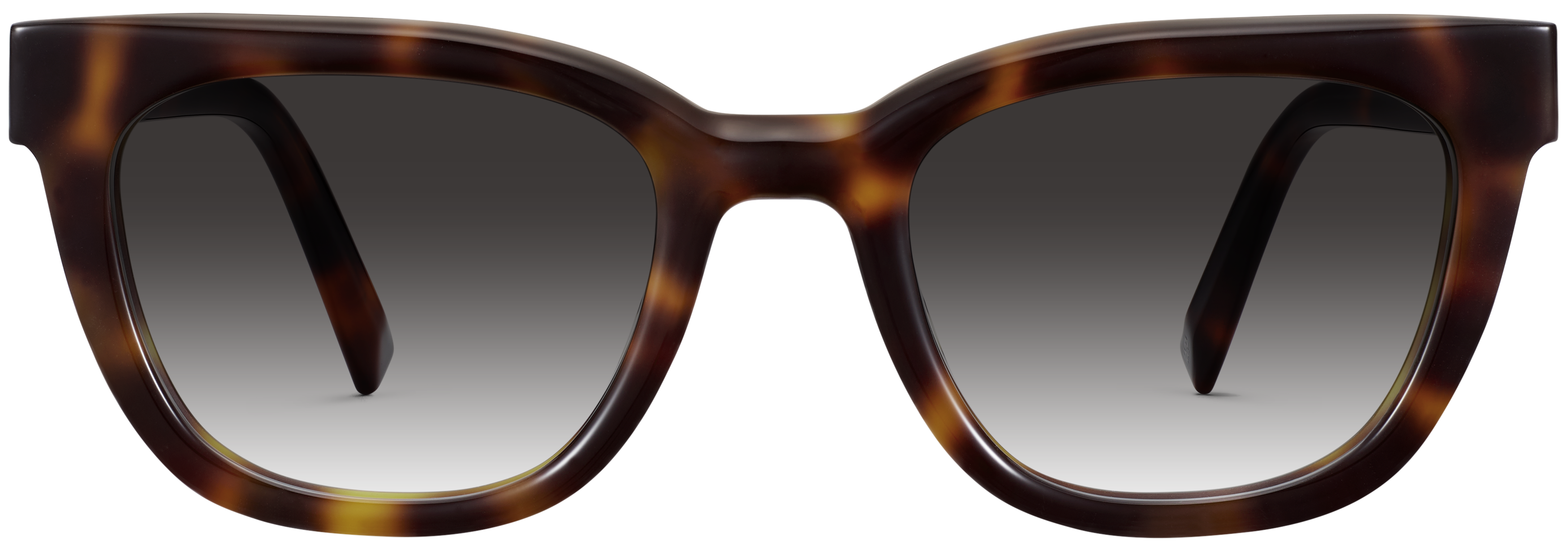 Hollis Cola Tortoise, baseTransparent view