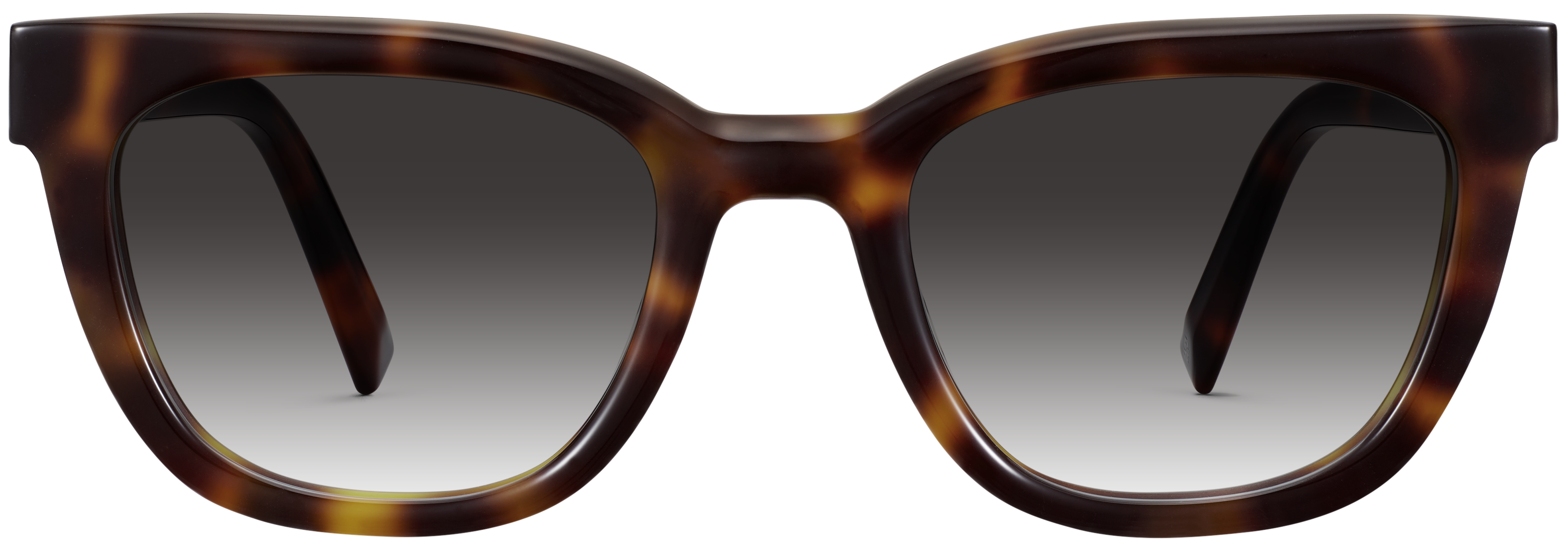 Hollis Cola Tortoise, baseTransparent view