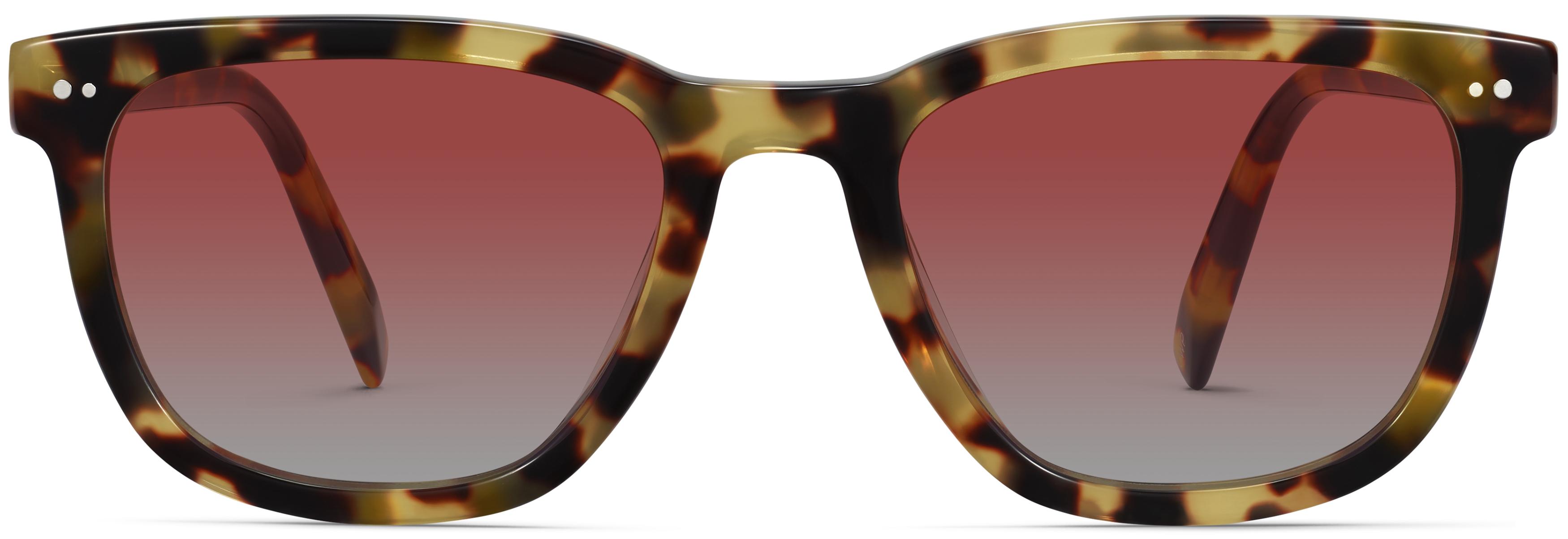 Toni Sunglasses in Cider Tortoise — Wide | Warby Parker display picture 3