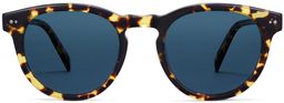 Hayes in Mesquite Tortoise, thumbnail 4