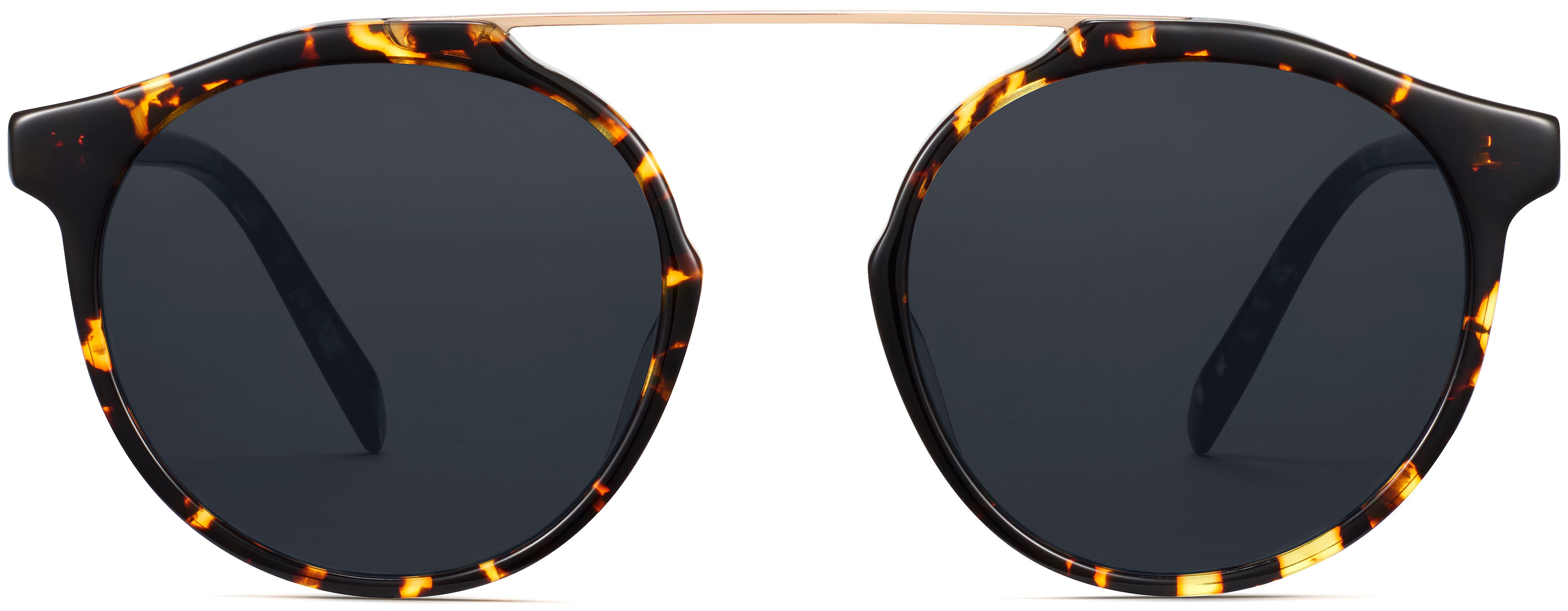Cooper Black Oak Tortoise with Polished Gold, front view