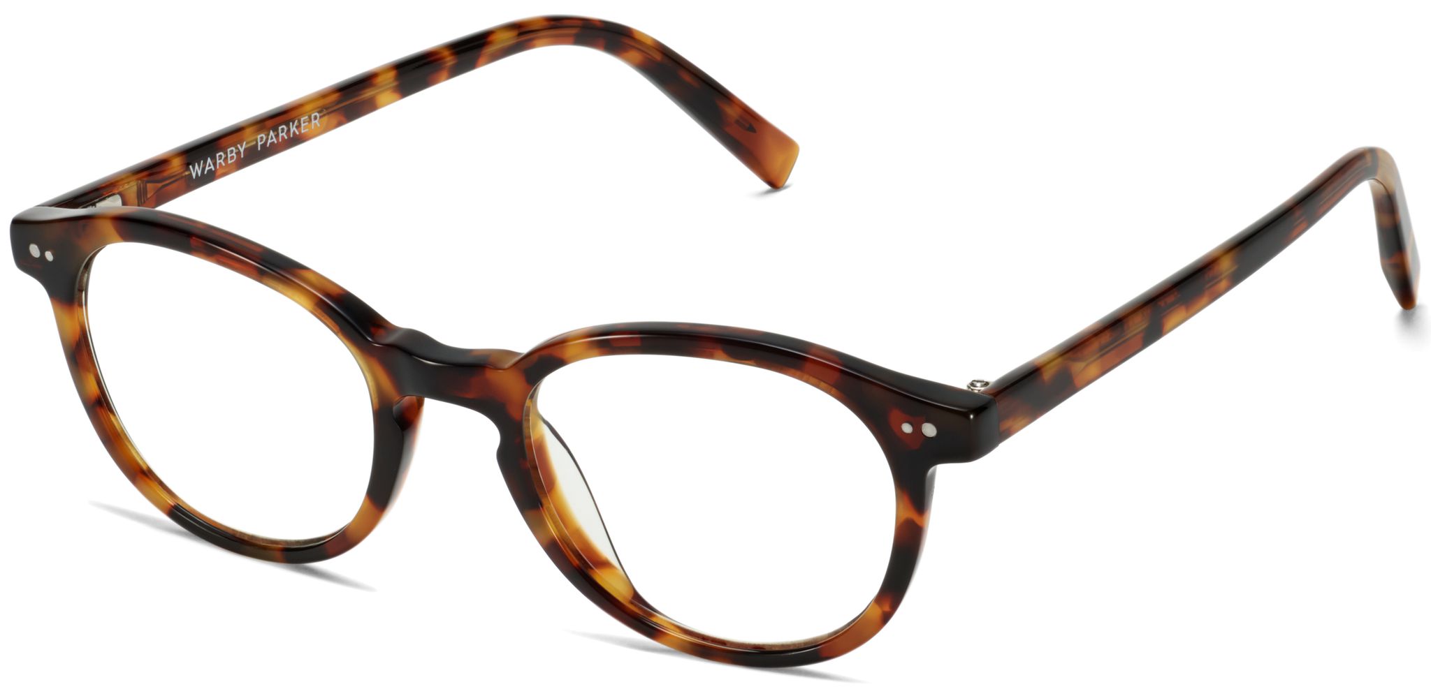 Anselm in Acorn Tortoise, image 1