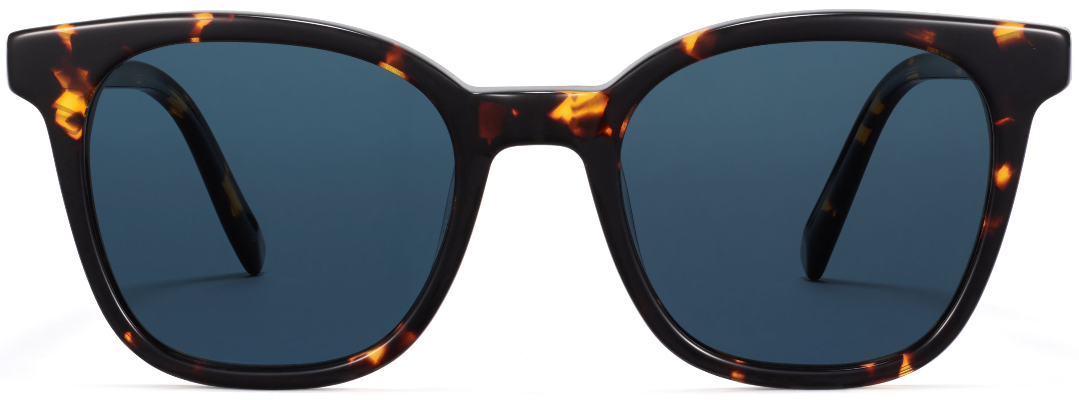 Griffin Burnt Honeycomb Tortoise, front view
