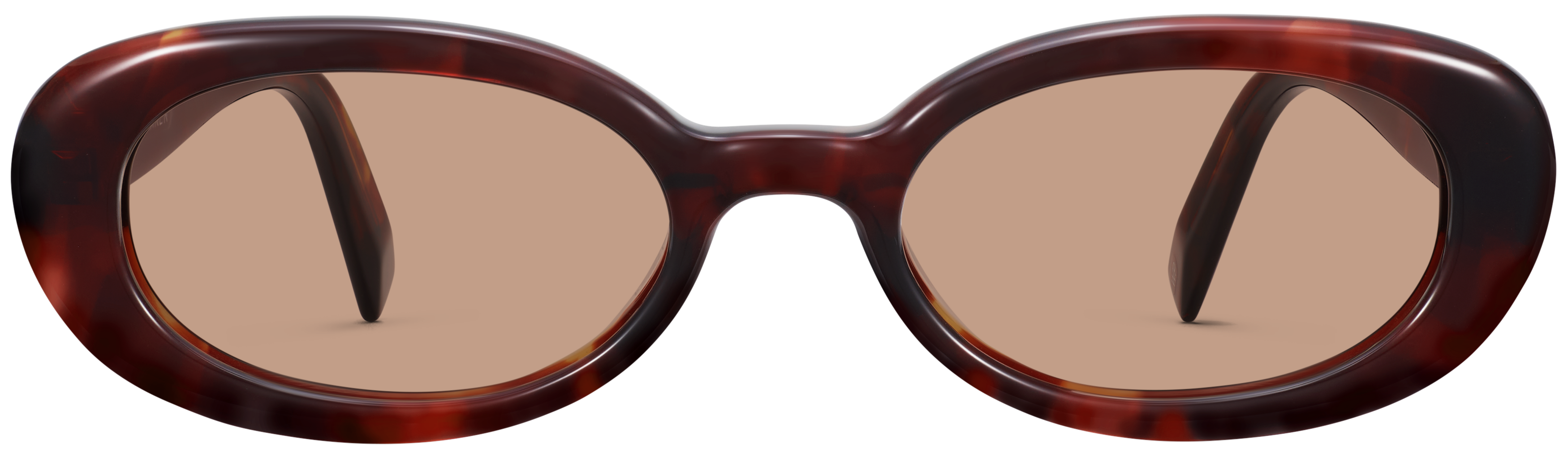 Millie Ancho Tortoise, baseTransparent view