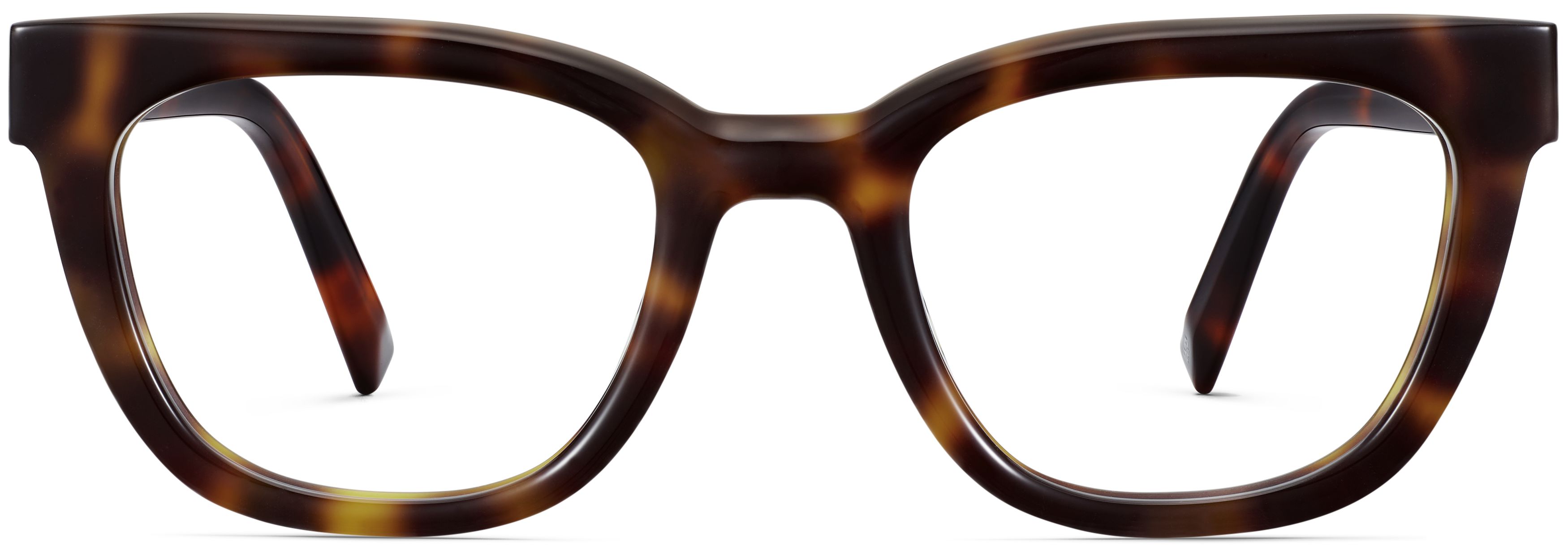 Hollis Cola Tortoise, front view