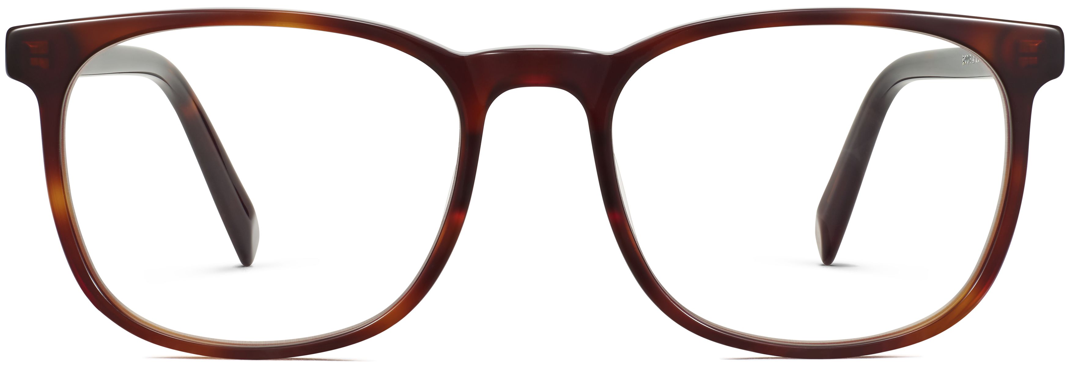 Bodie Rye Tortoise, front view