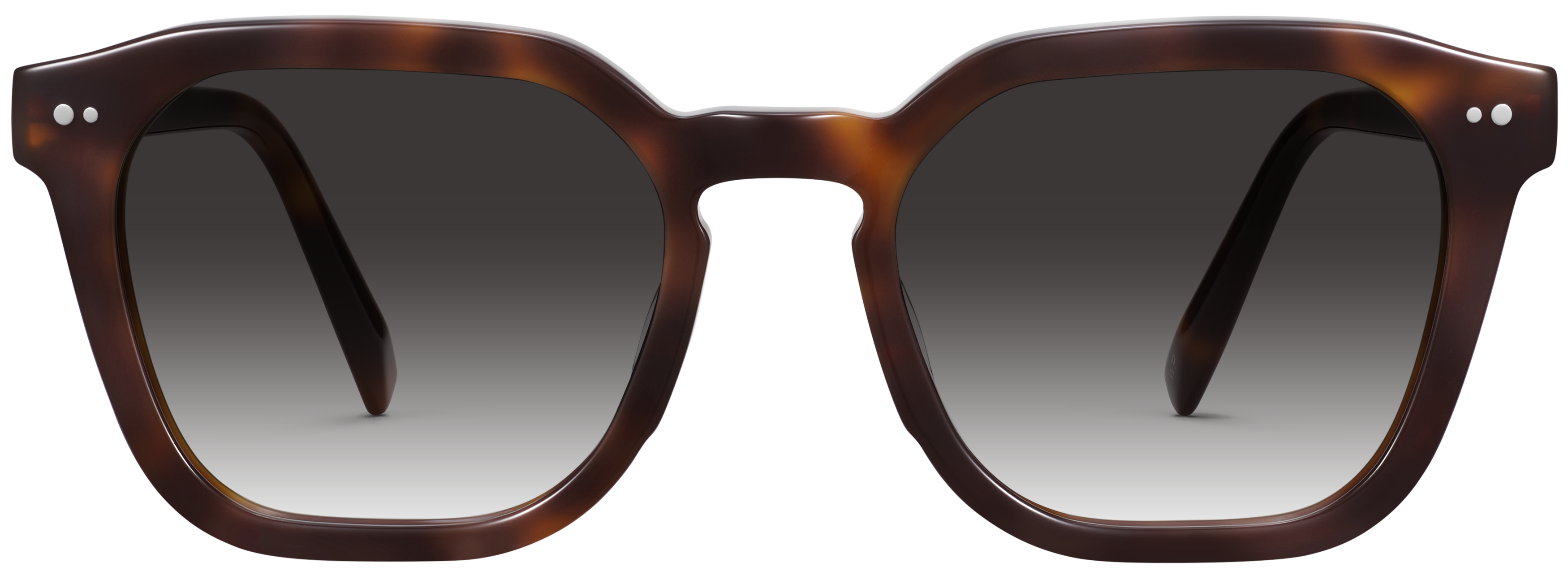 Tova Cola Tortoise, baseTransparent view