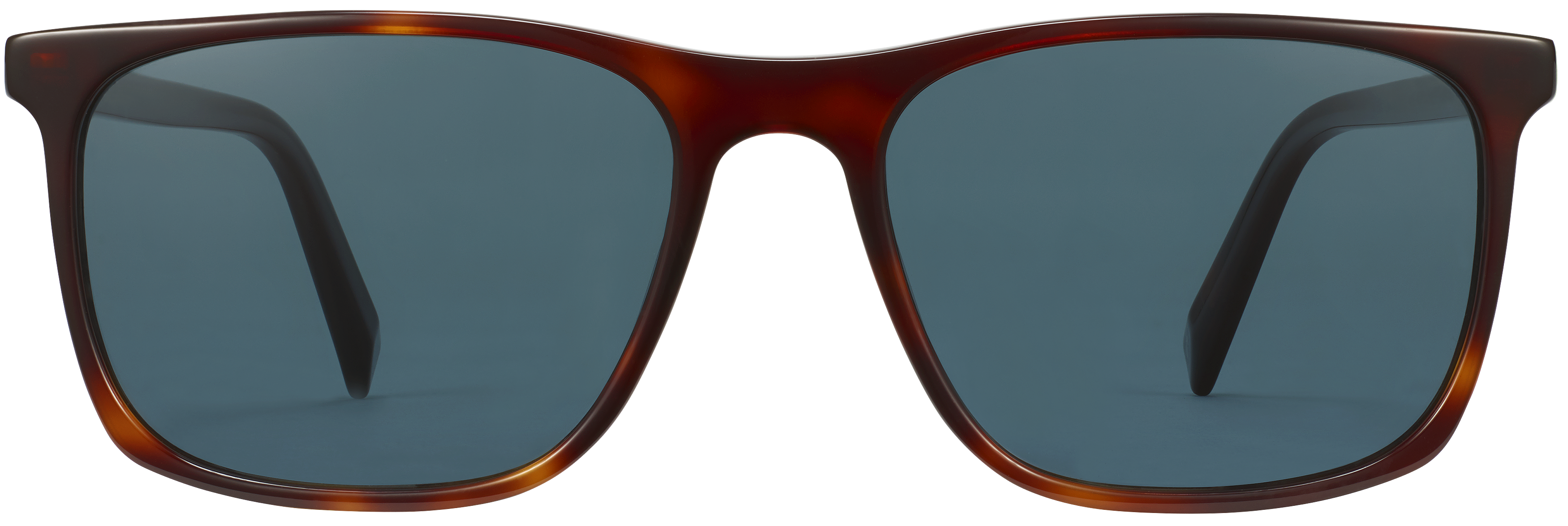 Fletcher Rye Tortoise, baseTransparent view