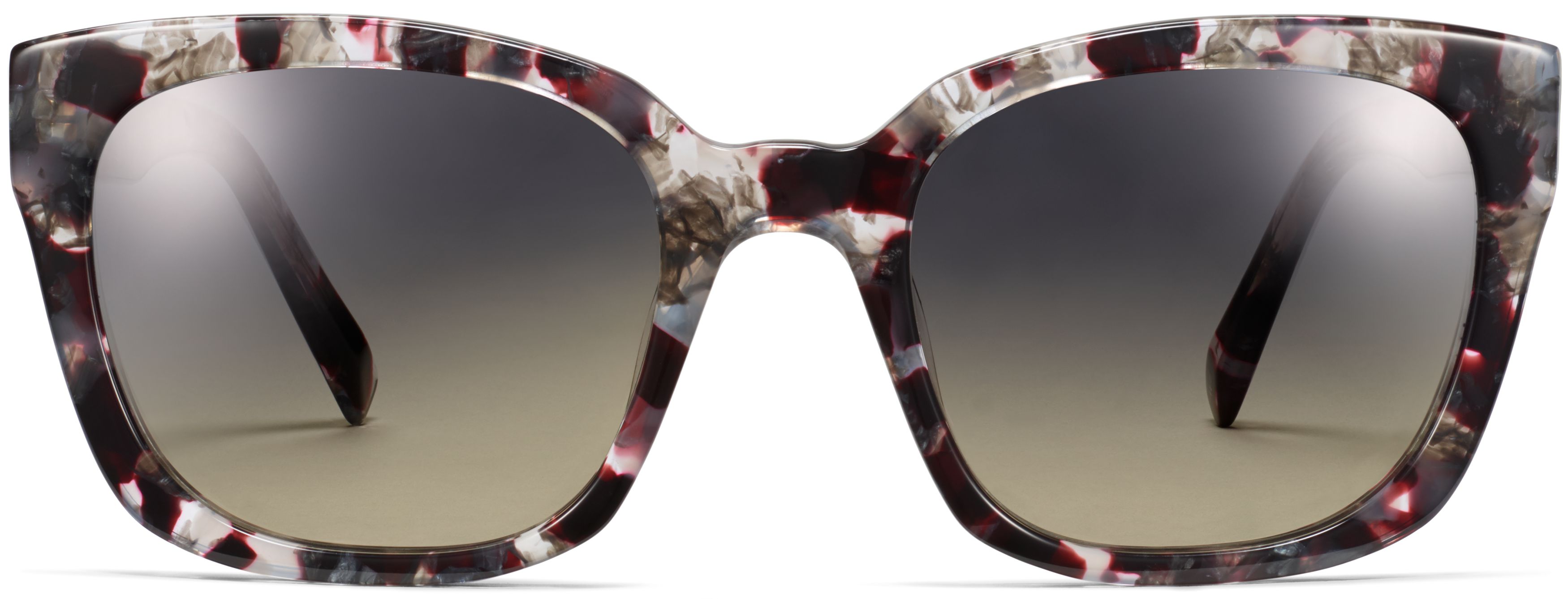 Aubrey Garnet Tortoise, front view