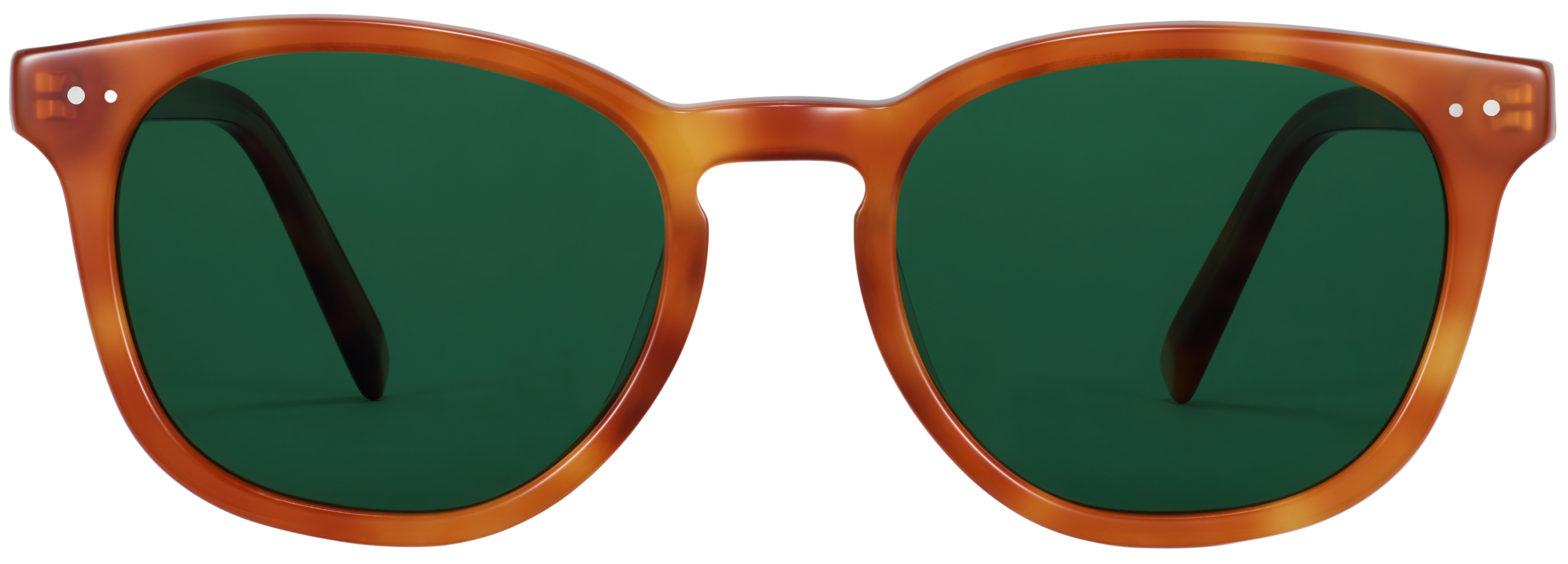 Toddy Sequoia Tortoise, baseTransparent view