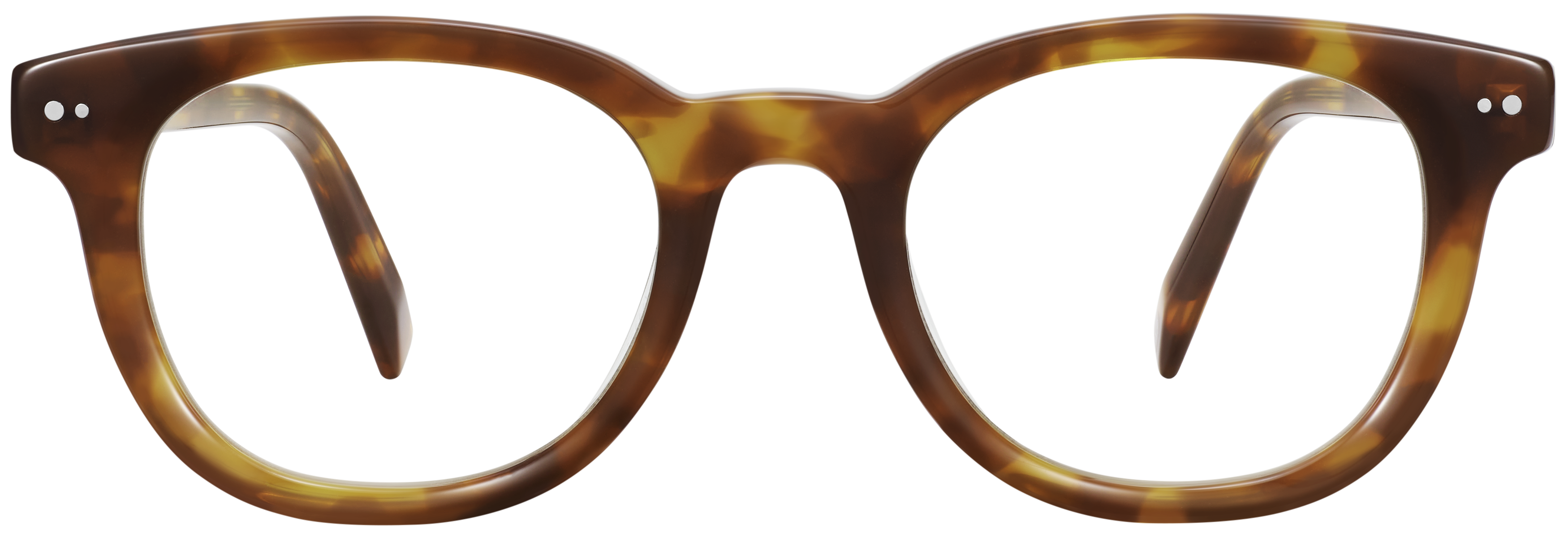 Bram Saddle Tortoise, baseTransparent view