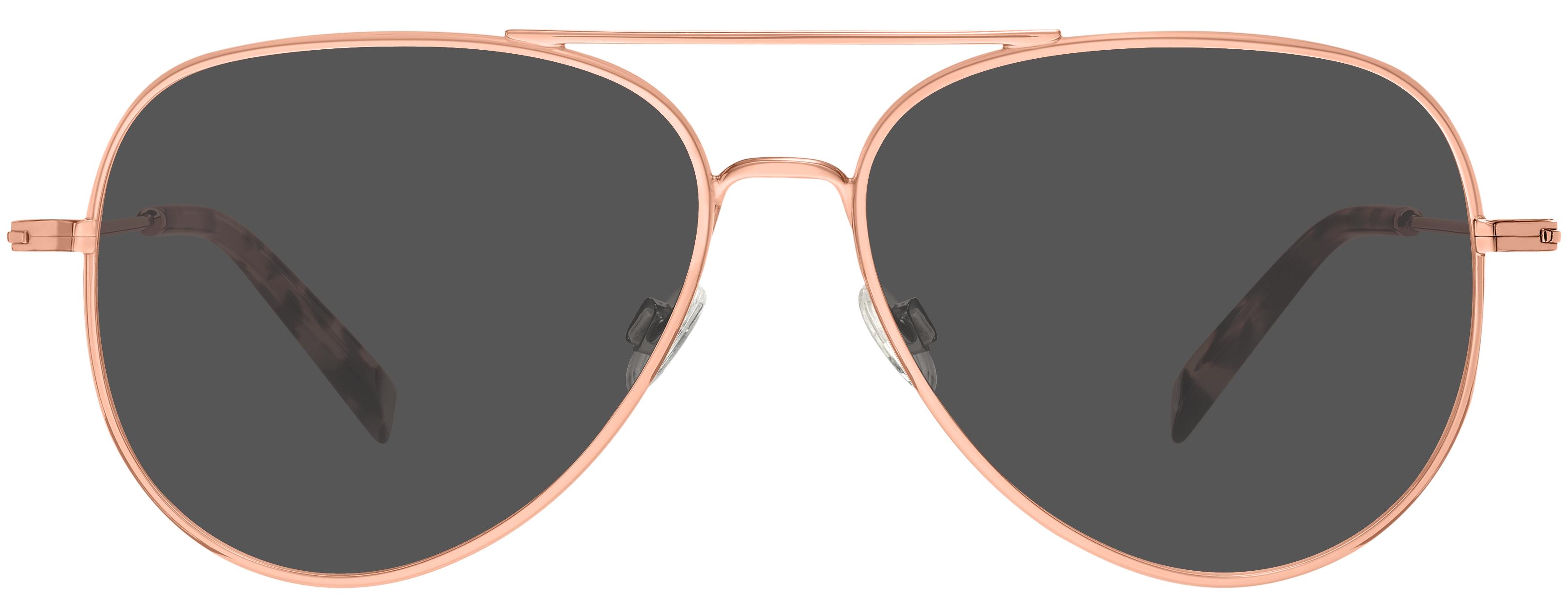 Warby Parker Raider Readers 2.50 Raider Sunglasses in Polished Gold | Warby Parker main image 2