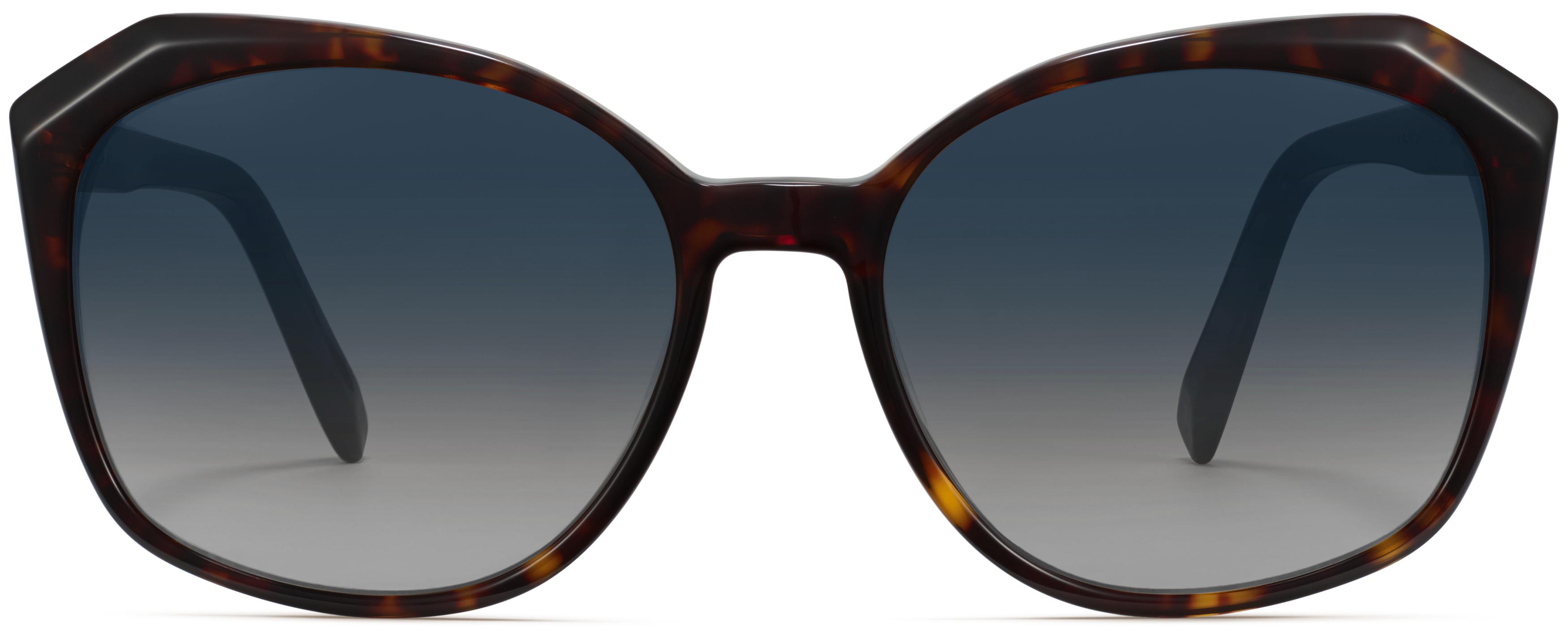 NWT Anais GVANI New York Tortoise Frame Sunglasses AINSLEY sunglasses tortoise brown – Pilgrim main image 2