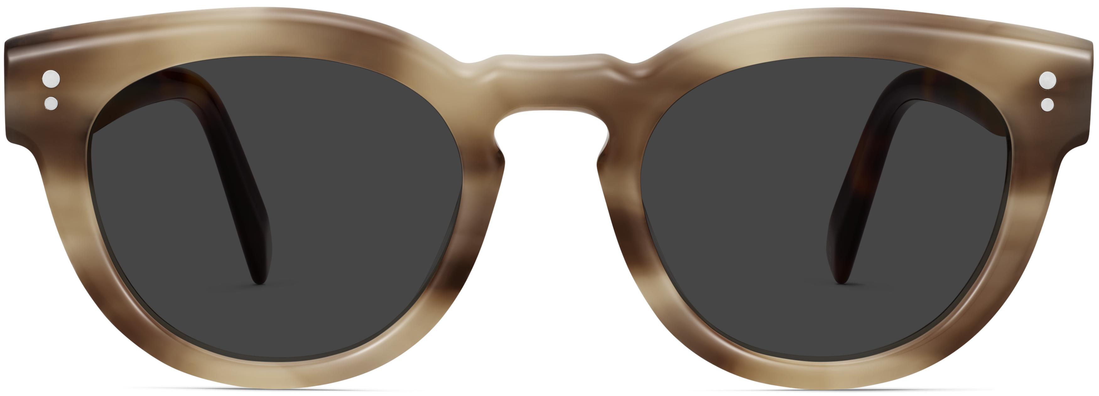 Ronan Tiramisu Tortoise with Cola Tortoise, front view