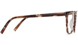 Esme in Sesame Tortoise, thumbnail 5