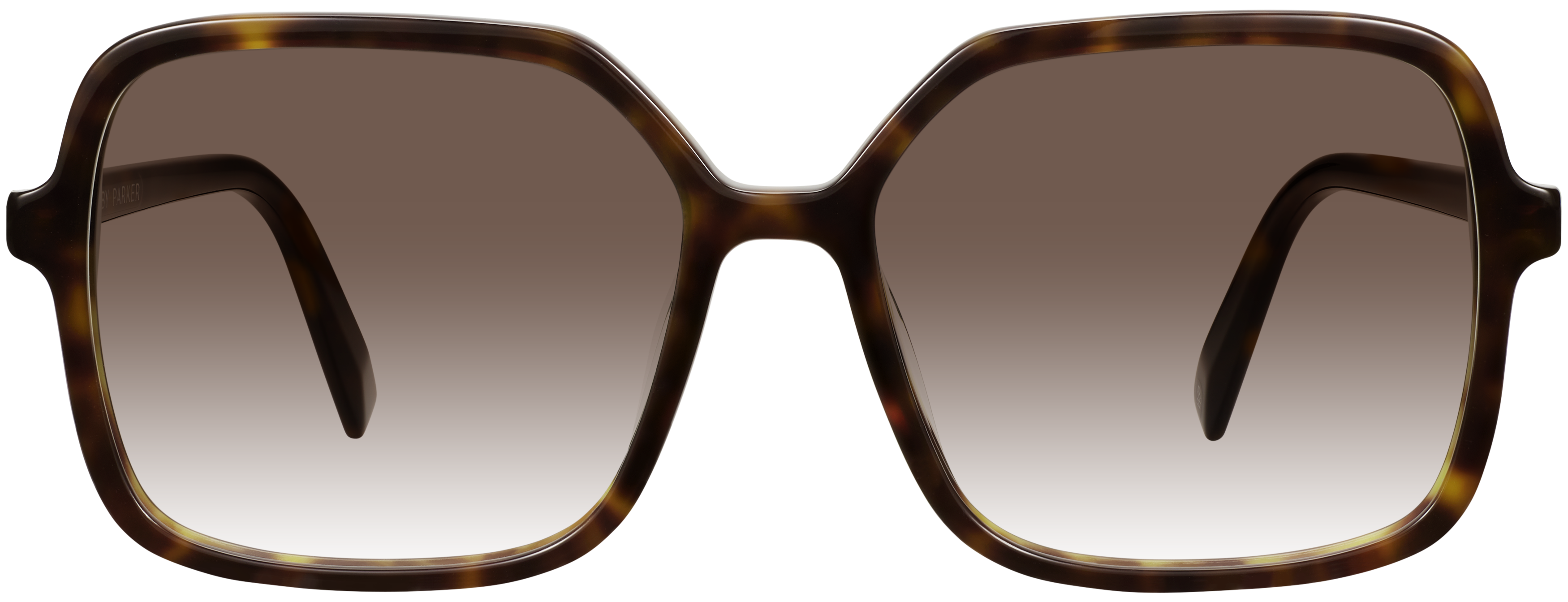 Lucille Ristretto Tortoise, baseTransparent view