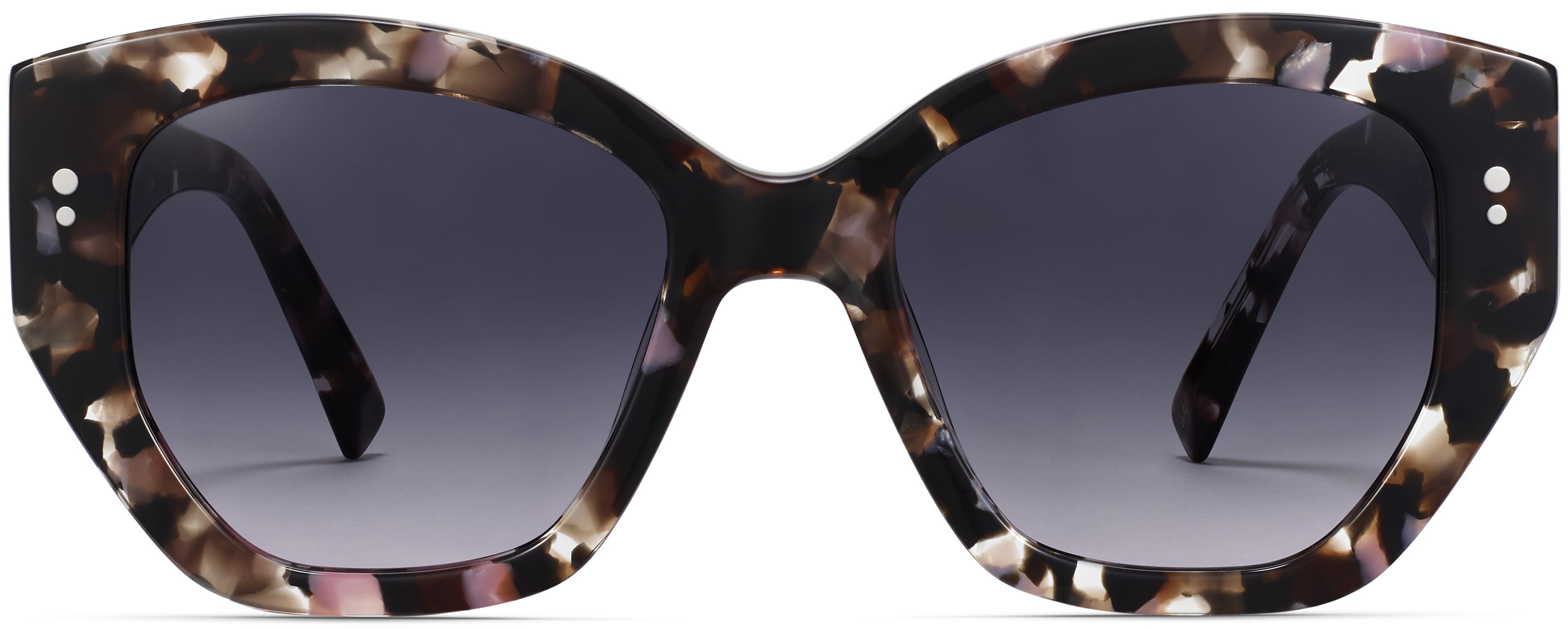 Masha Black Currant Tortoise, front view