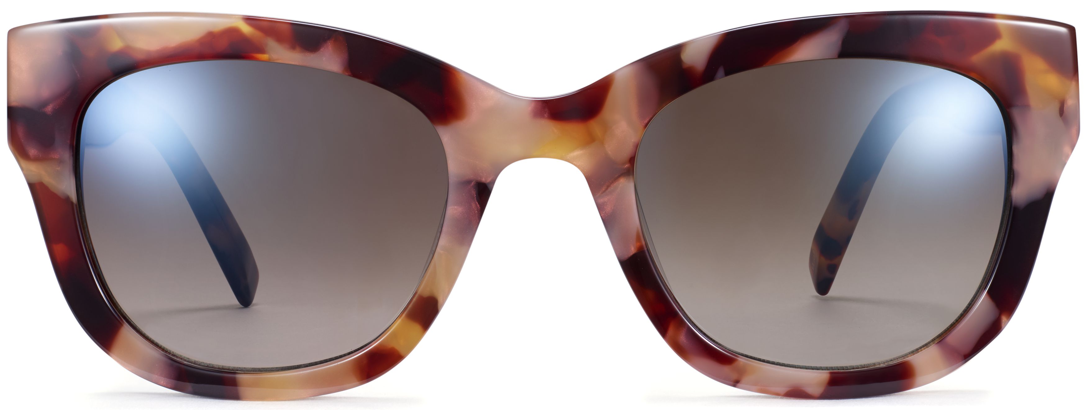 Gemma Adobe Tortoise, front view