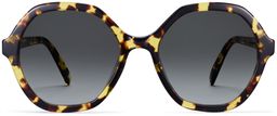 Rachel in Mesquite Tortoise, thumbnail 2