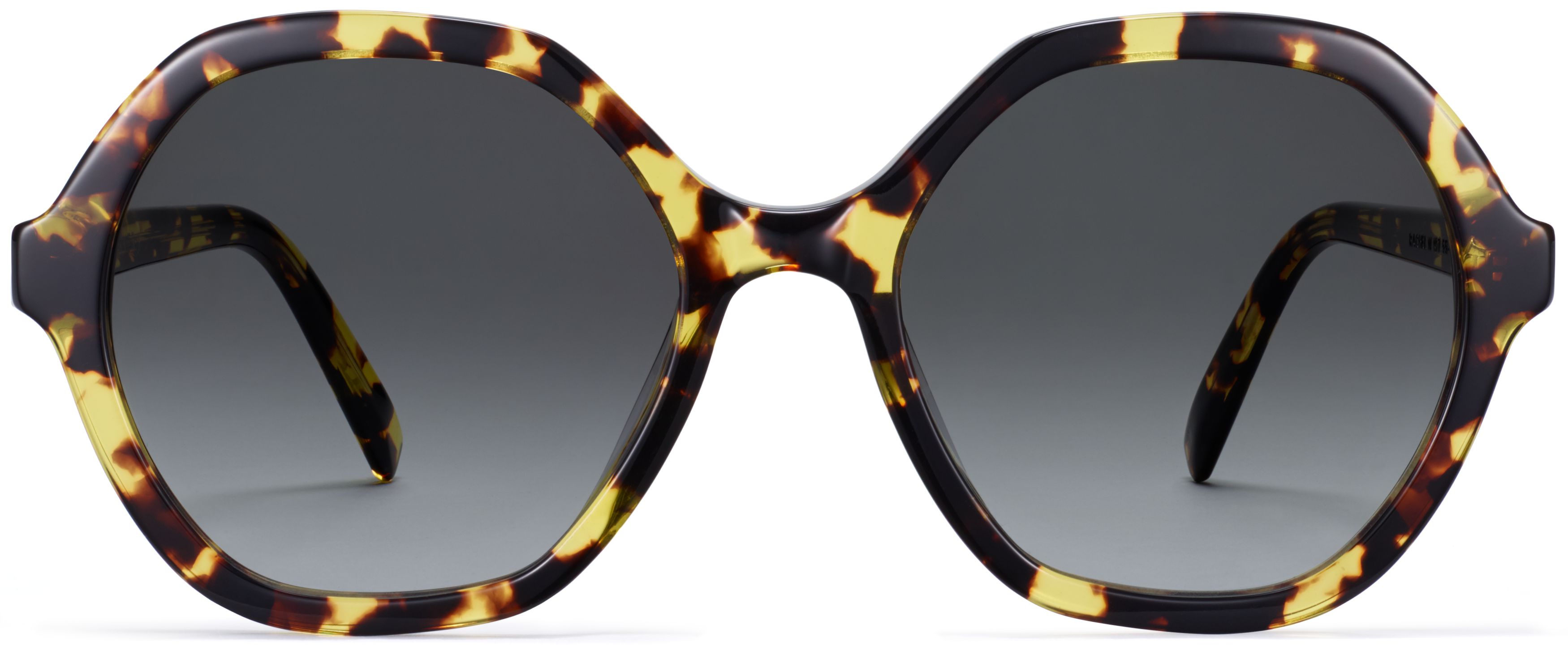 Rachel in Mesquite Tortoise, image 2