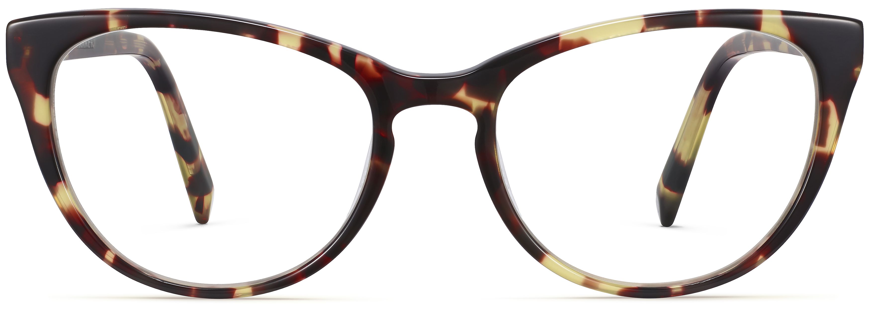 Shea Burnt Lemon Tortoise, front view